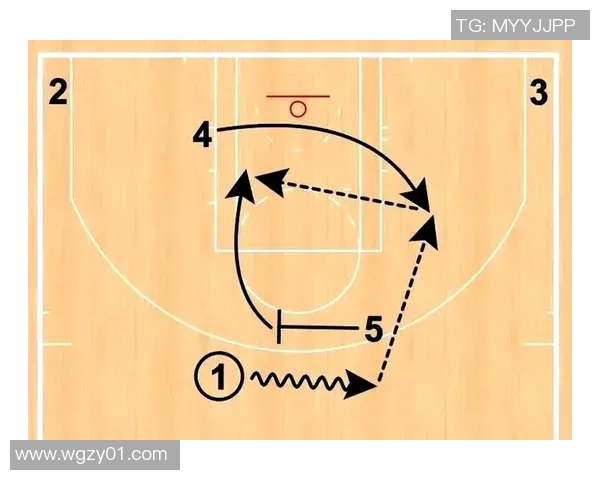 体育实时数据篮球新手必看全方位实力入门指南助你快速提升球技与战术理解