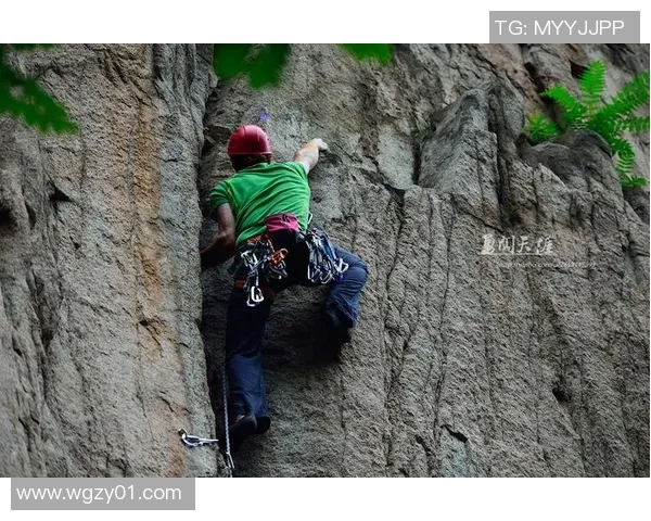 武汉攀岩队的团队协作之道:攀岩巨献背后的故事与精神探索实时数据 武汉攀岩队的团队协作之道:攀岩巨献背后的故事与精神探索实时数据