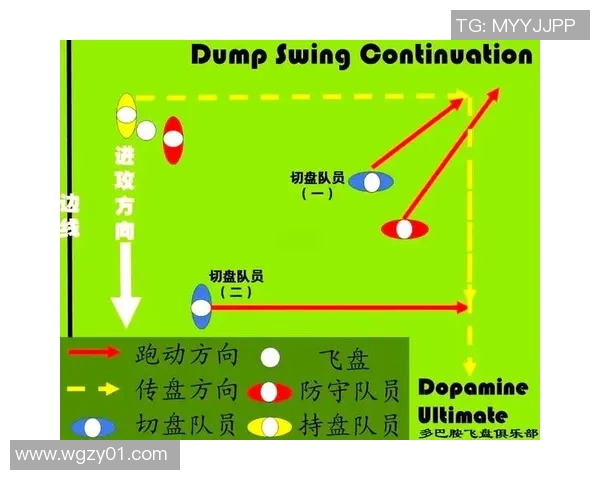 实时新闻深圳飞盘队节奏对比深度解析与战术探讨